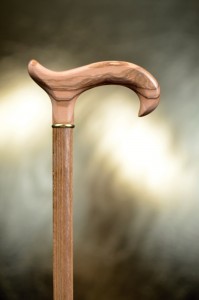 Vycházková hůl Fayet olivier